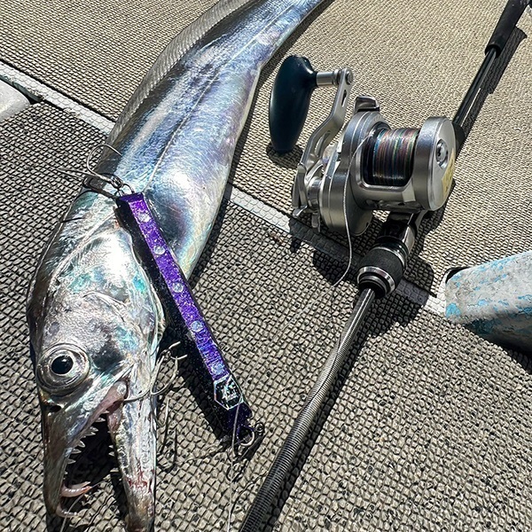 25 L-JIGGYS SSD STRONG ARCH